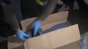 İstanbul’da 1 ton 144 kilo uyuşturucu ele geçirildi: Emniyette sergilendi