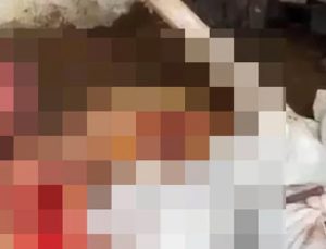 İstanbul’da bir depoda at kesim: 2 gözaltı