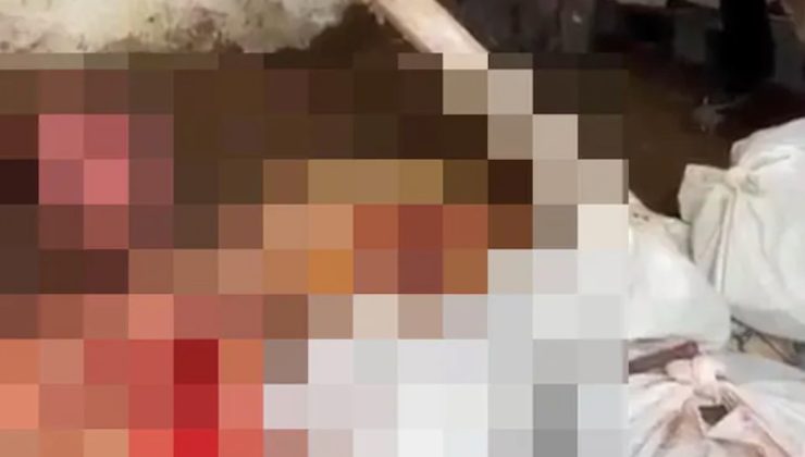 İstanbul’da bir depoda at kesim: 2 gözaltı