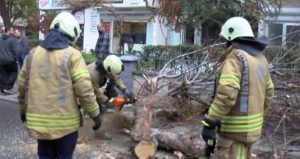 Kadıköy’de seyir halindeki cipin üzerine ağaç devrildi