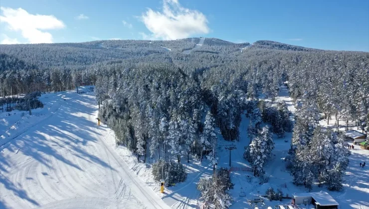 Karla Beyazlanan Sarıkamış Ormanları