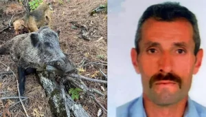 Kemah’ta Domuz Saldırısı: Avcı Hayatını Kaybetti