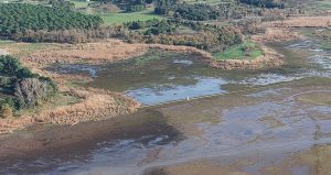 Kısa süreli rahatlama bitti: İstanbul’da düşüş yeniden başladı