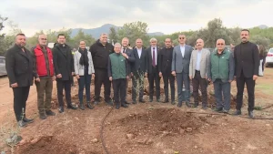 KKTC’de “Kanlı Noel” katliamının 62. yılında zeytin fidanı dikim töreni düzenlendi