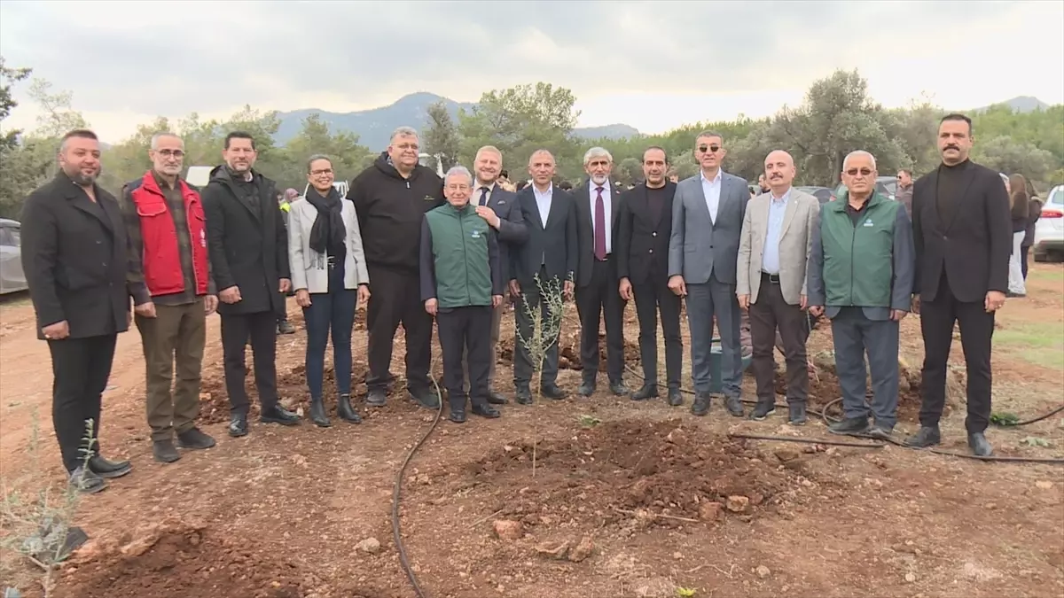 KKTC’de “Kanlı Noel” katliamının 62. yılında zeytin fidanı dikim töreni düzenlendi