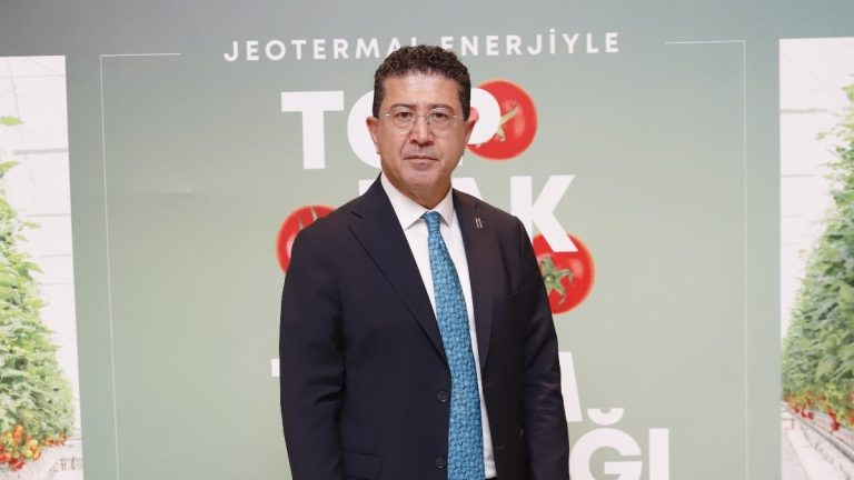 Konya’da 50 bin metrekarelik alanda domates üretimi başlıyor