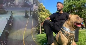 Köpeğini gezdirirken felaketi yaşadı: Hakan öldü Pablo kayıp!