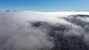 Küre Dağları’nda Kış Manzarası
