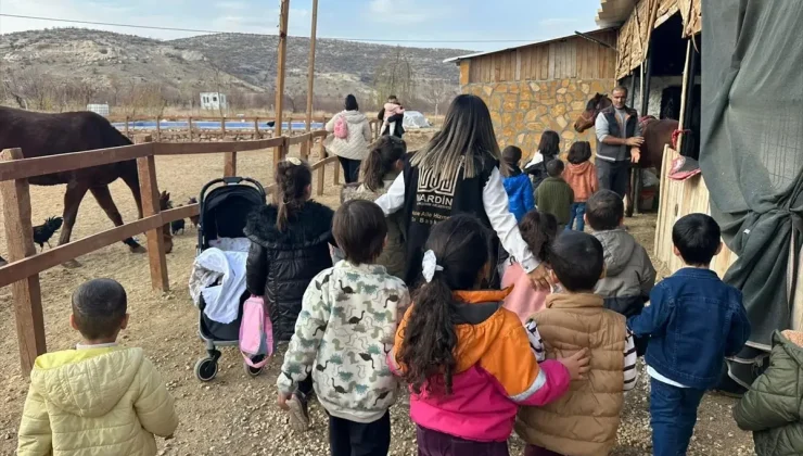 Mardin’de Çocuklar İçin Çiftlik Etkinliği