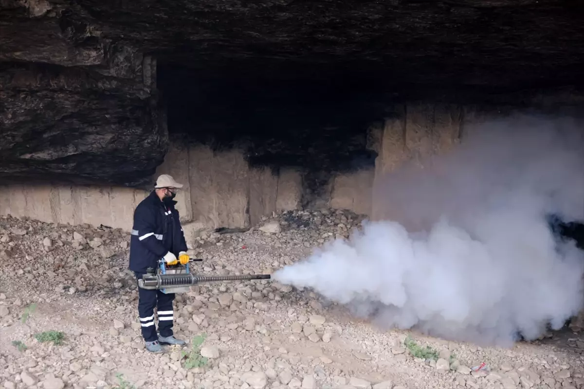 Mardin’de Sivrisinek İlaçlama Çalışmaları Devam Ediyor