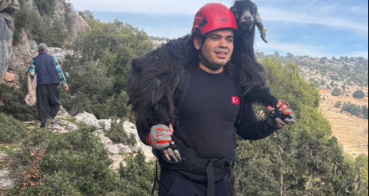 Mersin’de kayalıklarda mahsur kalan keçiler kurtarıldı