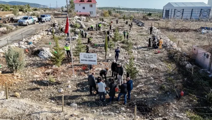 Mersinli şehit için oluşturulan hatıra ormanına yeni fidanlar dikildi