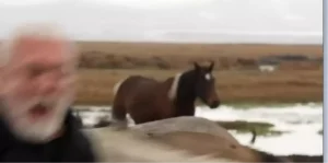 Onur Akın’a Yılkı Atı Çarptı