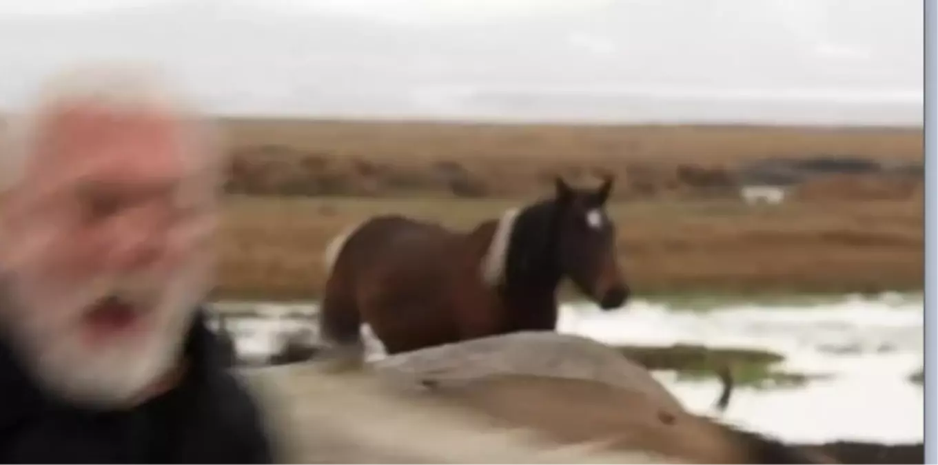 Onur Akın’a Yılkı Atı Çarptı