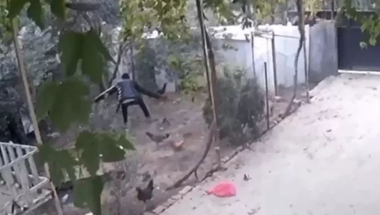 Osmaniye’de Tavuk Hırsızlığı: Bir Kişi Tutuklandı
