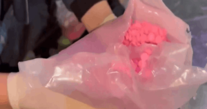 Pendik’te 19 bin 800 adet uyuşturucu hap yakalandı