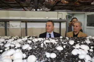 Rektör Yılmaz Mantar Tesisini Ziyaret Etti