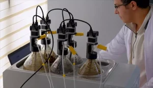 Samsun Teknopark: İnovasyonun Merkezi