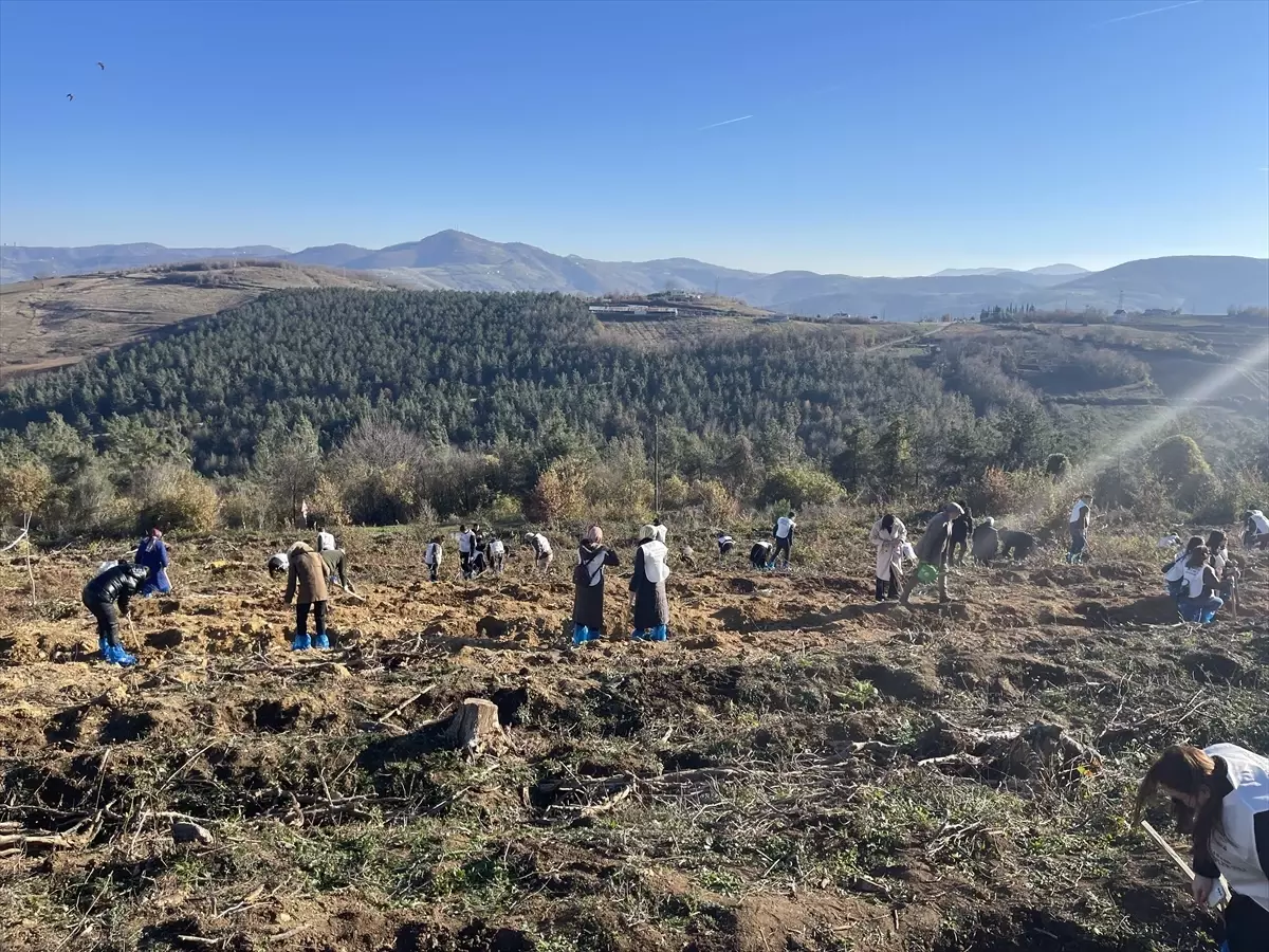 Samsun’da 350 Fidan Dikildi