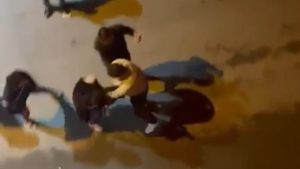 Şanlıurfa’da taksici ile kadınların kavgası kamerada