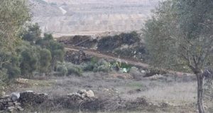 Sözler tutulmadı Akbelen’de kıyım başladı