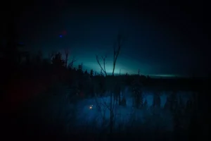 Teriberka: Arktik’te Hayat ve Doğa