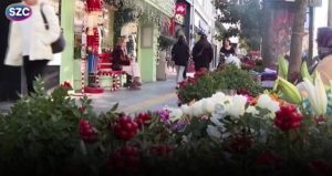 Toplaması dert alması lüks! Yeni yılın umut çiçeği Kokina