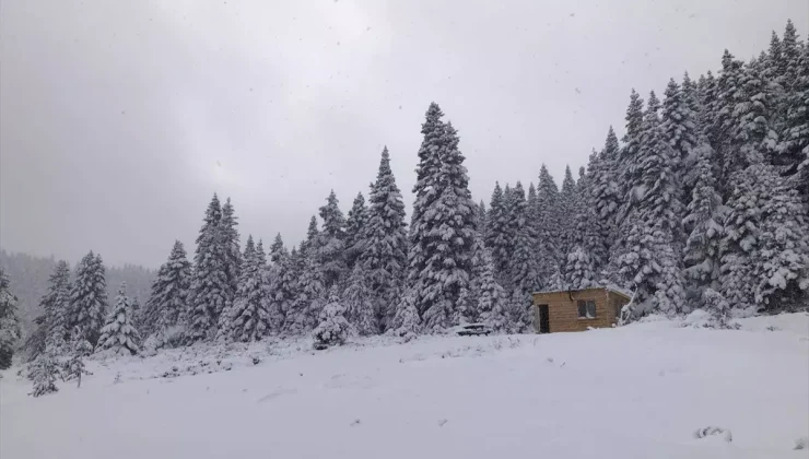 Türkeli’de Kar Yağışı Etkili Oldu