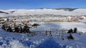 Uyuşturucu Hap Kaçakçılığı: Tır Sürücüsü Tutuklandı