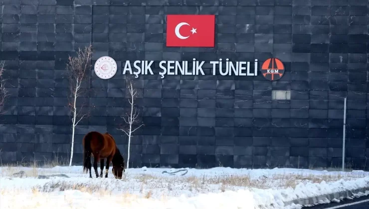 Yılkı Atları Tünelde Ulaşımı Aksattı