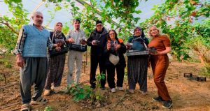 Yiyenlere şifa saçıyor: Kilosu 130 liraya fırladı, üreticinin yüzü güldü