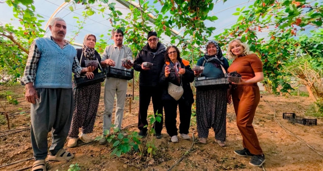 Yiyenlere şifa saçıyor: Kilosu 130 liraya fırladı, üreticinin yüzü güldü