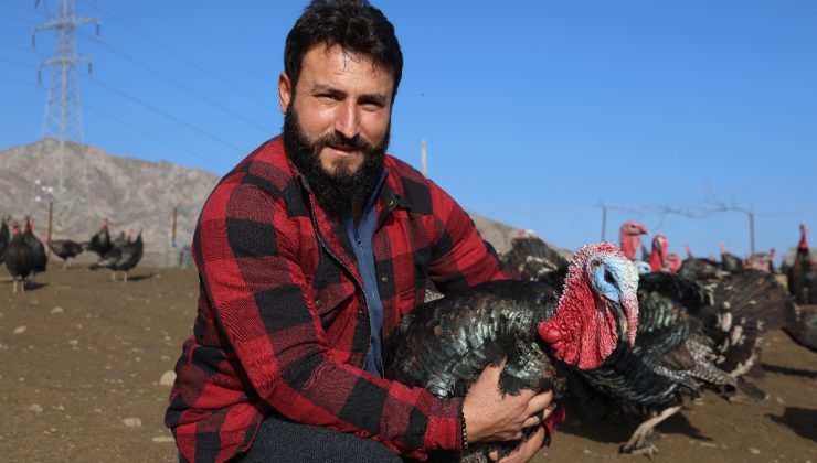 Yurt dışından döndü, Elazığ’da çiftlik kurdu