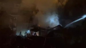 Zonguldak’ta Papağan Yangında Kurtarıldı