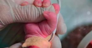 2 aylık bebek açlıktan ölmüştü: Aile boyu katil çıktılar!