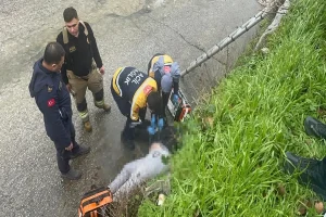 2 metre yükseklikten dere yatağına düşen adam hayatını kaybetti