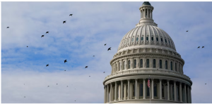 ABD’de hükümet kısmi olarak kapandı: Kongre bütçe anlaşmasını zamanında onaylayamadı