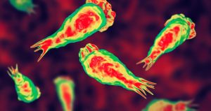 Acil uyarı geldi! Su altyapılarında ‘Truva Atı’ tehlikesi: Klora bile dayanıyorlar…