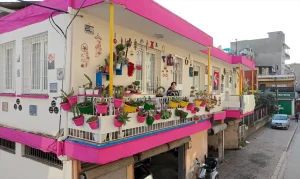 Adana’da Geri Dönüşümle Süslü Ev