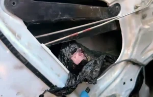 Adana’da Uyuşturucu Operasyonu: 66 Bin Hap Ele Geçirildi