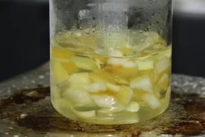 Ağaç Kavunundan Yeni Hidrojel Üretimi