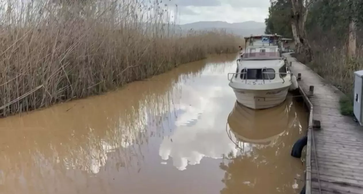 Akyaka’da Denizde Kahverengi Su Alarmı