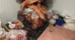 Ankara’da iğrenç görüntüler! Bunları halka yedireceklerdi