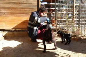 Antalya Doğal Yaşam Parkı’nda Kış Tedbirleri