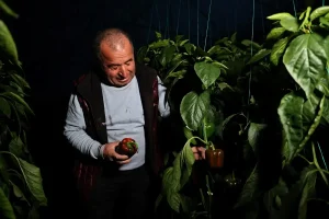 Antalya’da Dijital Tarım Dönemi