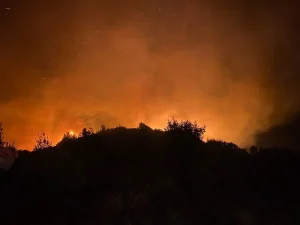 Antalya’da Orman Yangınına Müdahele