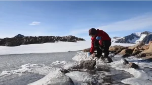 Antarktika Bilim Seferi Yola Çıktı