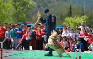 Arama Kurtarma Köpeği Ocak Emekli Oldu