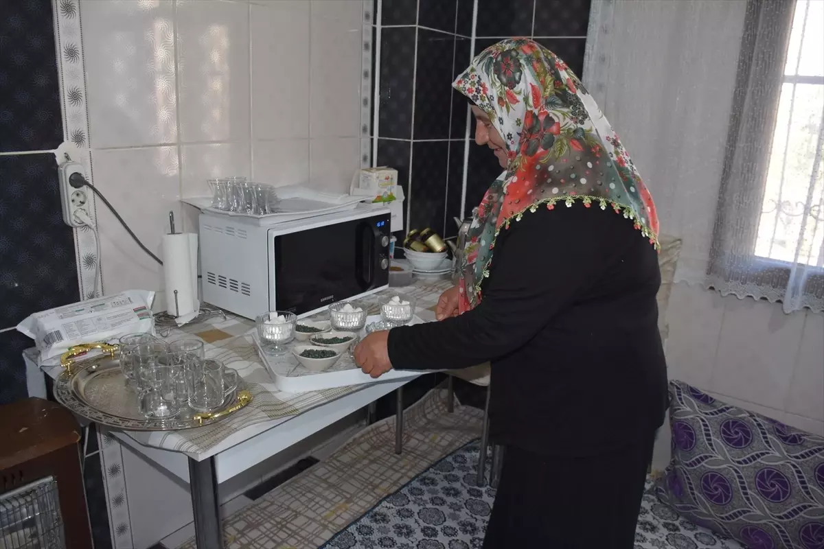 Arıcılık ile 5 Çocuğunu Üniversitede Okuttı