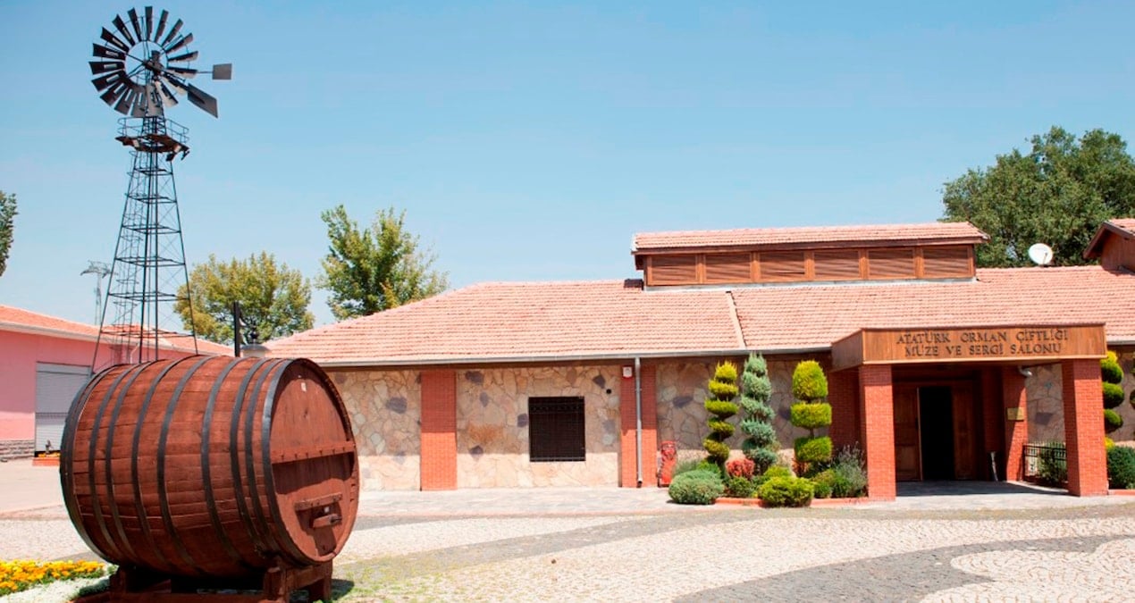 Ata’nın emanetini göz göre göre yok ettiler